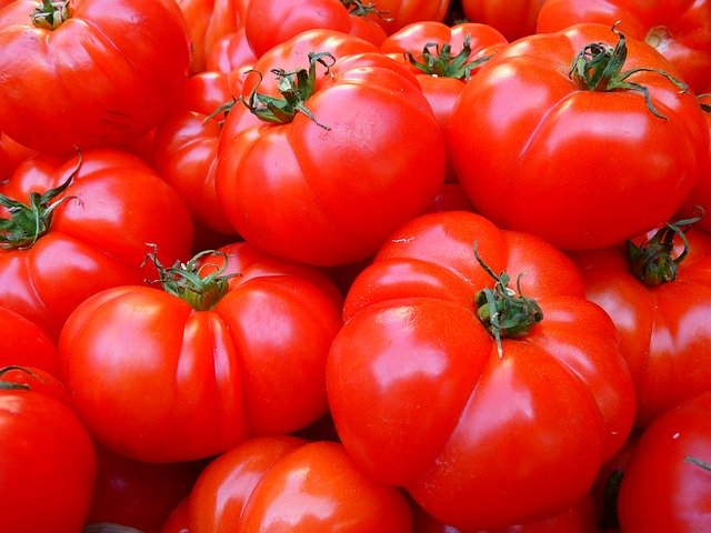 Jak wygląda wasza przechowalnia pomidorów?