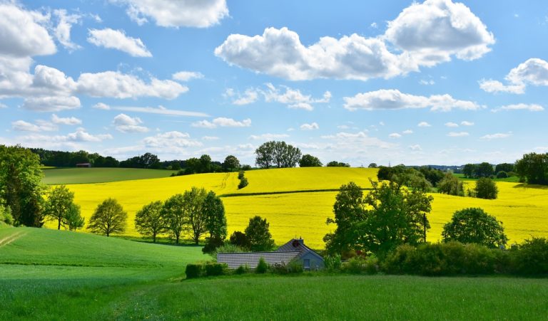 Najnowsze doniesienia z pola uprawnego